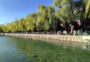 2023 11 PEKIN - PARC BEIHAI (3)